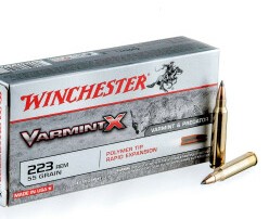 .223 winchester
